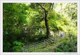 熊本県立第二高等学校写真部五老ヶ滝