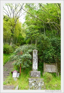 熊本県立第二高等学校写真部「西南役官軍本営址」の石碑