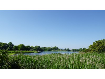 IMG_0838